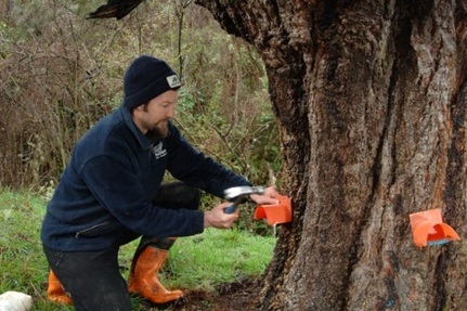 Application of ground baiting Stations