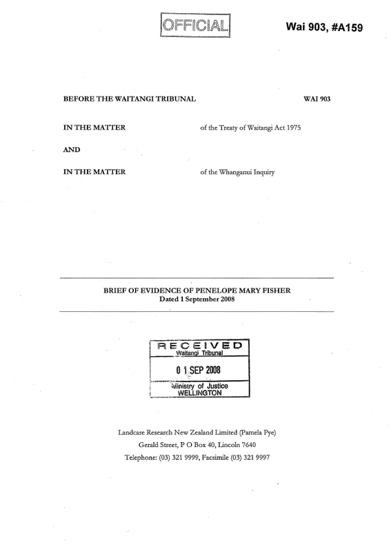 Waitangi Hearing