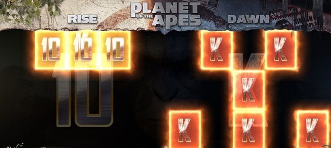 duel features
