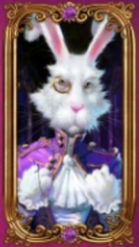 White Rabbit Bonus Symbol