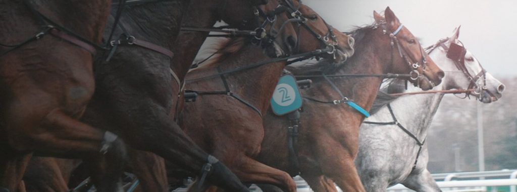 Trot & gallop Horse Games