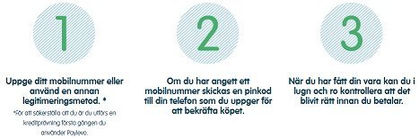 Instructions on how to use Paylevo.